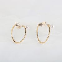 Exaggerated Pearl Earrings 18k Real Gold Plating S925 Silver Needle Ring Earrings Wholesale Nihaojewelry main image 5