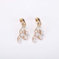 New Popular Golden Pearl Earrings S925 Silver Needle Geometric Irregular Korean Earrings Wholesale Nihaojewelry main image 1