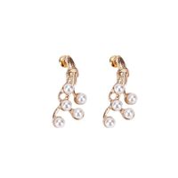 New Popular Golden Pearl Earrings S925 Silver Needle Geometric Irregular Korean Earrings Wholesale Nihaojewelry main image 6