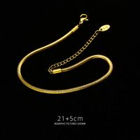 Round Snake Texture Real Gold-plated Anklet Titanium Steel Material 18k Real Gold-plated Non-allergenic Anklets Wholesale Nihaojewelry main image 4