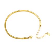 Round Snake Texture Real Gold-plated Anklet Titanium Steel Material 18k Real Gold-plated Non-allergenic Anklets Wholesale Nihaojewelry main image 3