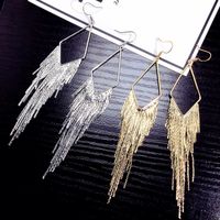 Korean New Tassel Exaggerated Tassel Ear Hook Hypoallergenic Earrings Stylish Simple Wholesale Nihaojewelry main image 1