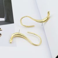 Exaggerated Punk Style Jewelry Snake Earrings Fashion Trend Earrings Wholesale Nihaojewelry main image 1
