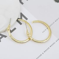 Exaggerated Punk Style Jewelry Snake Earrings Fashion Trend Earrings Wholesale Nihaojewelry main image 4