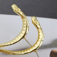 Exaggerated Punk Style Jewelry Snake Earrings Fashion Trend Earrings Wholesale Nihaojewelry main image 5