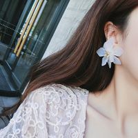 Korean Baroque Super Fairy Retro Style Flower Big Earrings Fashion Wild Exaggerated Earrings Wholesale Nihaojewelry main image 4