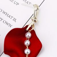 Color Petal Fan-shaped Silver Needle Earrings Girl Long Tassel Earrings Simple Earrings Jewelry Wholesale Nihaojewelry main image 4