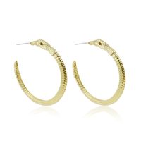 Exaggerated Punk Style Jewelry Snake Earrings Fashion Trend Earrings Wholesale Nihaojewelry sku image 1