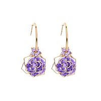 Créatif Nouveau Design Boucles D&#39;oreilles S925 Boucles D&#39;oreilles En Argent Boucles D&#39;oreilles En Zircon Fleur En Gros Nihaojewelry sku image 1