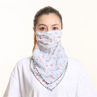Sunshade Summer Anti-ultraviolet Chiffon Veil Mask Neck Guard Breathable Mask Wholesale Nihaojewelry sku image 21
