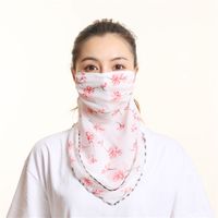 Sunshade Summer Anti-ultraviolet Chiffon Veil Mask Neck Guard Breathable Mask Wholesale Nihaojewelry sku image 25
