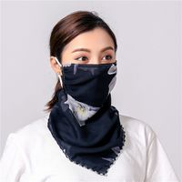 Sunshade Summer Anti-ultraviolet Chiffon Veil Mask Neck Guard Breathable Mask Wholesale Nihaojewelry sku image 4