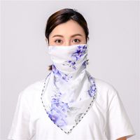 Sunshade Summer Anti-ultraviolet Chiffon Veil Mask Neck Guard Breathable Mask Wholesale Nihaojewelry sku image 5