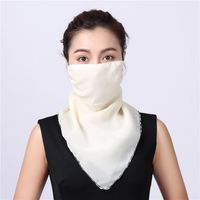 Summer Sunscreen Mask Neck Guard Breathable Sunshade Summer Uv Protection Chiffon Veil Wholesale Nihaojewelry sku image 11