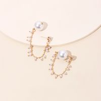 Korea's Designer Pearl Earrings High-end Sense Of Long Tassel Rhinestone Earrings Wholesale Nihaojewelry main image 2