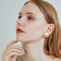 New S925 Silver Needle Earrings Alloy Geometric Round Flower Earrings Wholesale Nihaojewelry main image 1