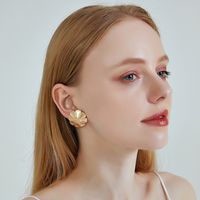 New S925 Silver Needle Earrings Alloy Geometric Round Flower Earrings Wholesale Nihaojewelry main image 5