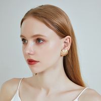 New S925 Silver Needle Earrings Alloy Geometric Round Flower Earrings Wholesale Nihaojewelry main image 4