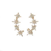 New Earrings S925 Silver Needle Diamond Snowflake Star Earrings Eight-pointed Star Ear Bone Clip Wholesale Nihaojewelry main image 1