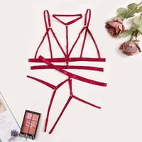 Fashion Sexy Lingerie Strap Three-point Elastic Multicolor Underwear Hollow Three-piece Suit Wholesale Nihaojewelry main image 4