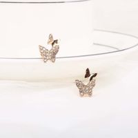 Qingdao Schmuck Großhandel Neue Beliebte Schmetterlings Ohrringe Earings Einfaches Temperament S925 Silberne Nadel Ohrringe main image 4
