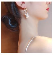Bogen Quaste Ohrringe Frauen Lange Temperament Ohrringe Koreanische Internet-promi Persönlichkeit Ohrringe Kreis Ohrringe S925 Silber Nadel main image 6