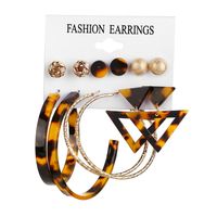 Fashion Jewelry New Tassel Earrings Set Six-piece Creative Leopard Earrings Wholesale Nihaojewelry sku image 21