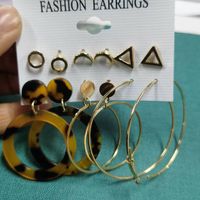 Fashion Jewelry New Tassel Earrings Set Six-piece Creative Leopard Earrings Wholesale Nihaojewelry sku image 20