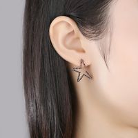 Korean Copper Inlaid Zircon Earrings Fashion One-piece Hair Earrings Wholesale Nihaojewelry main image 3