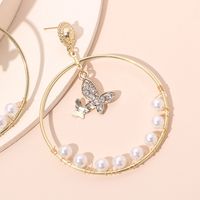 Nischen Vielseitige Diamant-schmetterlings Anhänger Geometrische Große Kreis Ohrringe Kaltwind Französische Damen Perlen Ohrringe main image 5