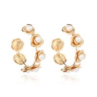 Exaggerated Round Wreath Exquisite Pearl Flower Earrings Fashion Metal Earrings Wholesale Nihaojewelry main image 6