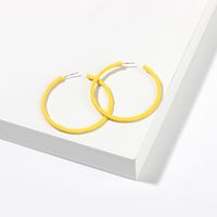 Fashion Simple  Geometric Big Circle Earrings Candy Color Girls Round  Alloy Earrings Nihaojewelry main image 4