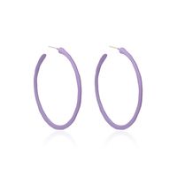 Fashion Simple  Geometric Big Circle Earrings Candy Color Girls Round  Alloy Earrings Nihaojewelry main image 6