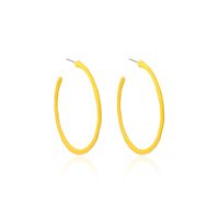 Mode Simple Géométrique Grand Cercle Boucles D&#39;oreilles Couleur Bonbon Filles Rondes En Alliage Boucles D&#39;oreilles Nihaojewelry sku image 1