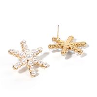 Fairy Fashion Snowflake Girls Alloy Pearl Earrings Nihaojewelry main image 5