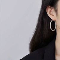 Fashion Neutral Large Circle Plaid Snake Pattern Big Earrings Wholesale Nihaojewelry main image 6