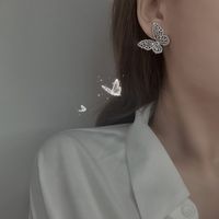 925 Silver Needle Zircon Micro-inlaid Butterfly Earrings Sweet Three-dimensional Butterfly Earrings Wholesale Nihaojewelry main image 5