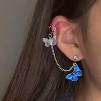 925 Silver Needle Ins Blue Butterfly Ohrringe Ohr Knögel Einteilige Ketten Ohrringe 2020 Neue Trend Ige Ohrringe Frauen main image 1