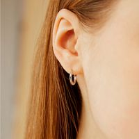 Emanco Europäische Und Amerikanische Edelstahl-ohrringe Temperament Ohrringe Plattiert 14 Karat Ohrringe Ohrringe Grenz Überschreiten Der Schmuck Großhandel main image 2