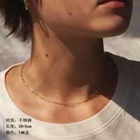 Fashion Short Women's Chain 316l Titanium Steel 14k Gold Plated Necklace Clavicle Chain Nihaojewelry main image 5