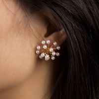 S925 Argent Aiguille Coréenne Simple Perle Fleur Boucles D&#39;oreilles Mode Gros Nihaojewelry main image 1