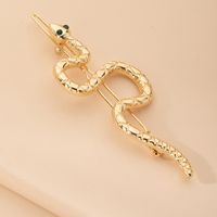 Hot-selling Exaggerated Serpentine Design Hairpin Retro All-match Fashion Bangs Clip Side Top Clip Wholesale Nihaojewelry main image 3