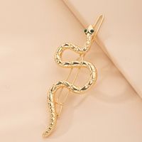 Hot-selling Exaggerated Serpentine Design Hairpin Retro All-match Fashion Bangs Clip Side Top Clip Wholesale Nihaojewelry main image 4