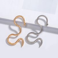 New Long Metal Exaggerated Dragon-shaped  Animal Zodiac Dragon Earrings Wholesale Nihaojewelry main image 4