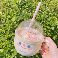 Korean Straw Cup Portable Cup Plastic Mug Cute Water Cup Breakfast Milk Cup For Women main image 4