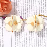 Drip Three-dimensional Flower Earrings Creative Fashion Butterfly Orchid Earrings Jewelry Wholesale Nihaojewelry main image 4