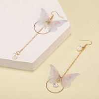 Japanische Und Koreanische Mode, Einfaches Temperament, Lange Asymmetrische Schmetterlings-quasten-ohrringe, Metallkreis-eingelegte Perlen Ohrringe main image 1
