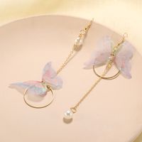 Japanische Und Koreanische Mode, Einfaches Temperament, Lange Asymmetrische Schmetterlings-quasten-ohrringe, Metallkreis-eingelegte Perlen Ohrringe main image 5