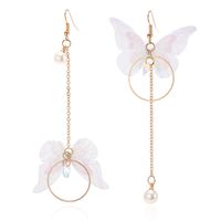 Japanische Und Koreanische Mode, Einfaches Temperament, Lange Asymmetrische Schmetterlings-quasten-ohrringe, Metallkreis-eingelegte Perlen Ohrringe main image 6