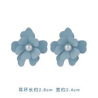 925 Silver Needle New Popular Haze Blue Simple Earrings Wholesale Nihaojewelry sku image 13